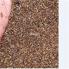 19usd Ngryise 3000Pcs A Set poppy meiren seed