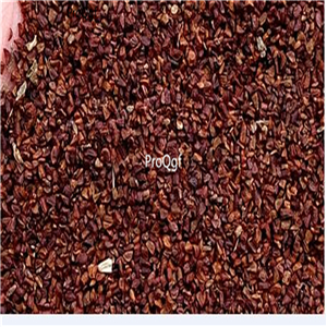 19usd Ngryise 500Pcs A Set Echinodorus grisebachii yelai seed