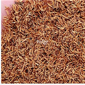 29usd Ngryise 500Pcs A Set  Lagenandra meeboldii seed
