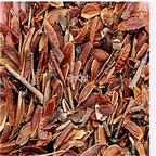 19usd Ngryise 3000Pcs A Set Syringa villos seed