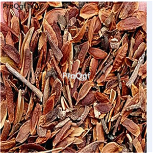 19usd Ngryise 3000Pcs A Set Syringa reticulata seed