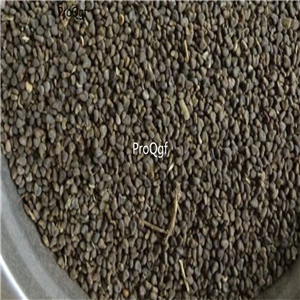 19usd Ngryise 2000Pcs A Set Abutilon Hybridum huaima seed