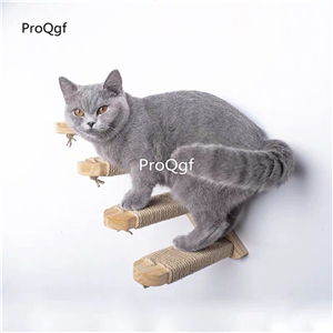 59usd Prodgf 1Pcs A Set wall hanging cat love climbing tool