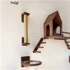 500usd Ngryise 1 set wall hanging cat use climbing tool