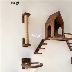 500usd Ngryise 1 set wall hanging cat use climbing tool