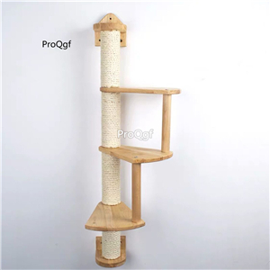 99usd Ngryise 1 set wall hanging cat up series climbing tool