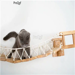 89usd Ngryise 1 set wall hanging cat climbing tool length 80-100cm