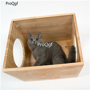 79usd Ngryise 1 set wall hanging size about 40*30*30cm cat sleeping tool