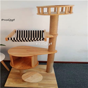399usd Ngryise 1 set cat big climbing tool minshuku