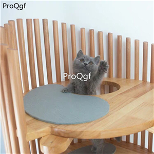 999usd Ngryise 1 set cat big climbing tool luxurious japanese like