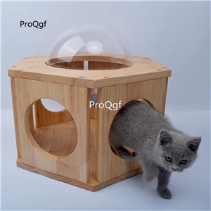 89usd Ngryise 1 set cat 45*52cm space home