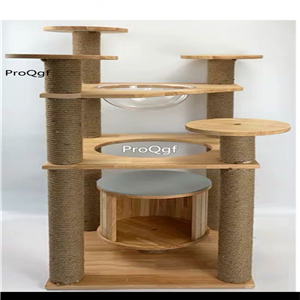 299usd Ngryise 1 set cat home with climbing tool