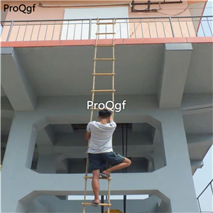 89usd Ngryise 1 set as photo show outdoor climbing tool distance 20cm total 3 meter
