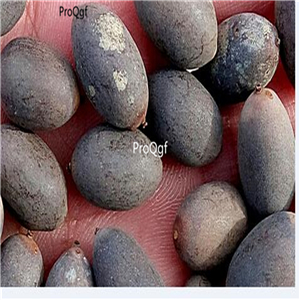 12usd Ngryise 100Pcs A Set Blue Lotus Aquatic seed
