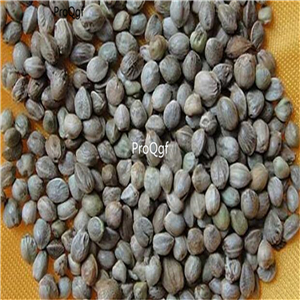 19usd Ngryise 2000Pcs A Set Female semen seed