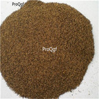 19usd Ngryise 9000Pcs A Set Artemisia annua berry  seed