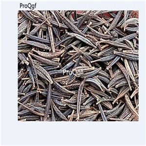 19usd Ngryise 8000Pcs A Set Mexico cosmos  seed