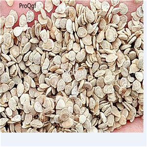 19usd Ngryise 9000Pcs A Set dark purple tomato seed