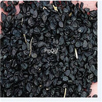 19usd Ngryise 8000Pcs A Set  white leek seed