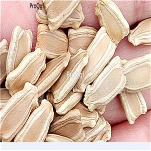 19usd Ngryise 500Pcs A Set Dipper Ornament Water Loofah  seed