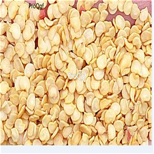 19usd Ngryise 6000Pcs A Set  Pointed Black Pepper  seed