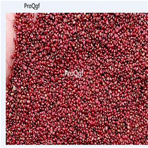 19usd Ngryise 8000Pcs A Set German Strawberry  seed
