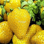 19usd Ngryise 8000Pcs A Set  Rare Yellow Strawberry  seed