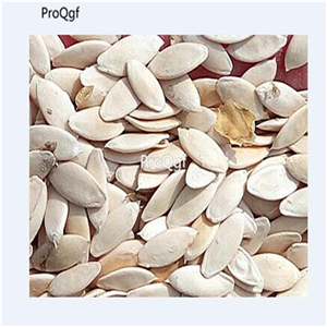 19usd Ngryise 6000Pcs A Set Red Cucumber  seed