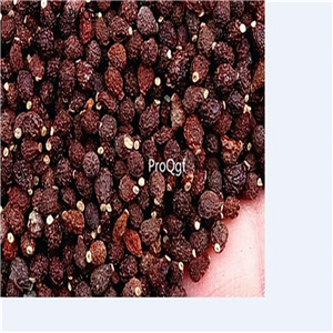 19usd Ngryise 500Pcs A Set Heart leaf Hoya  seed