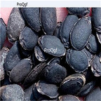 19usd Ngryise 300Pcs A Set loofah seed