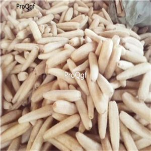 19usd Ngryise 300Pcs A Set loofah seed