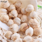 29usd Ngryise 250Gram A Set Amomum cardamon white dry