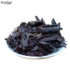19usd Ngryise 250Gram A Set RADIX ARNEBIAE