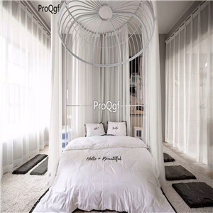 1699usd Ngryise 1 Set luxurious bird cage Children Bed