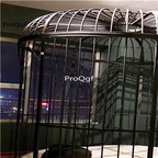 1699usd Ngryise 1 Set luxurious black bird cage Children Bed