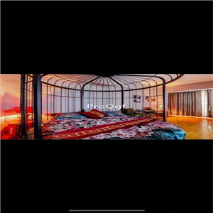 1699usd Ngryise 1 Set luxurious black bird cage Children Bed