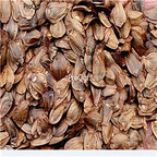 19usd Ngryise 8000Pcs A Set Salts Spruce seed