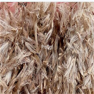 19usd Ngryise 8000Pcs A Set Salts Red grass seed