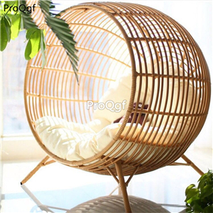 699usd Ngryise 1 Set ins minshuku bird nest rattan bed