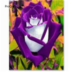 12usd Ngryise 2000Pcs A Set Pretty rose flower seed
