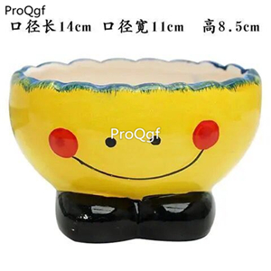12usd Ngryise 1 Set Smile Succulent Flower Pot