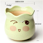 12usd Ngryise 1 Set Smile Succulent Flower Pot many color choice