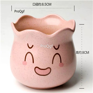 12usd Ngryise 1 Set Smile Succulent Flower Pot many color choice