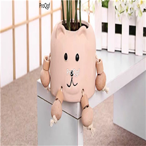 12usd Ngryise 1 Set Smile Succulent Flower Pot many color choice