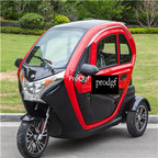 300usd Ngryise 1 set adult luxurious classic Electric car