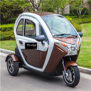 300usd Ngryise 1 set adult luxurious classic Electric car