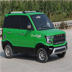 1699usd Ngryise 1 set adult luxurious classic Electric car four color choice