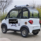 2699usd Ngryise 1 set adult convenient classic Electric car classic color