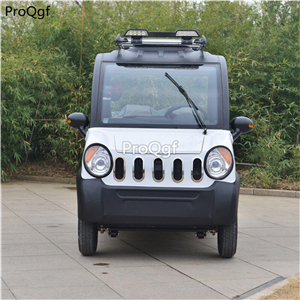 2699usd Ngryise 1 set adult convenient classic Electric car classic color