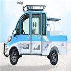 2699usd Ngryise 1 set adult convenient classic Electric car for business